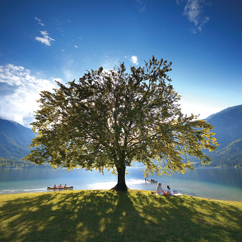 Lake Bohinj